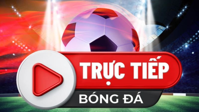 2Q- 2Q Trực Tiếp Bóng Đá Quốc Tế: Xem Trận Đấu Hấp Dẫn Toàn Cầu 2 2q truc tiep bong da quoc te 2