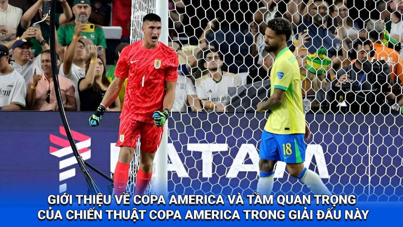 Chiến Thuật Copa America 2024: Phân tích cách chơi của các đội bóng tại 2Q 1 chien thuat copa america 1