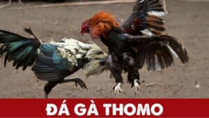 da ga thomo 1