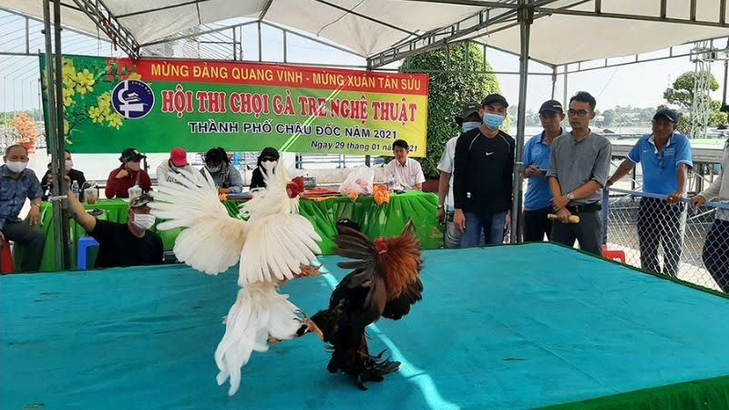 Đá Gà Tre: Huyền Thoại Trận Chiến 2 Lợi ích khi tham gia đá gà tre