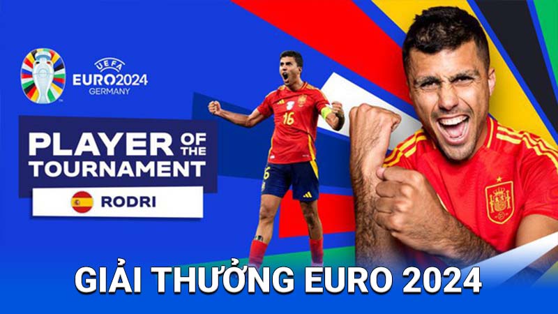 2Q Giải Thưởng Euro 2024: Vinh Quang & Niềm Tự Hào 3 Sự phối hợp và hòa nhập giữa các quốc gia tham gia