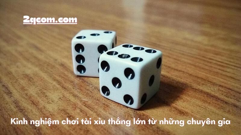 Chơi Tài Xỉu - Khám Phá Thế Giới Giải Trí Thú Vị Và Cơ Hội Phát Tài 3 Kinh nghiệm chơi tài xỉu thắng lớn từ những chuyên gia
