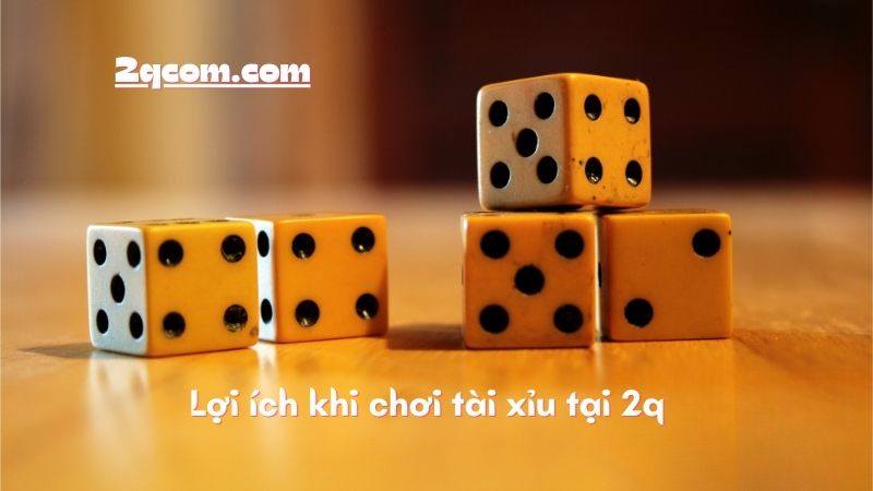 Chơi Tài Xỉu - Khám Phá Thế Giới Giải Trí Thú Vị Và Cơ Hội Phát Tài 2 Lợi ích khi chơi tài xỉu tại 2q