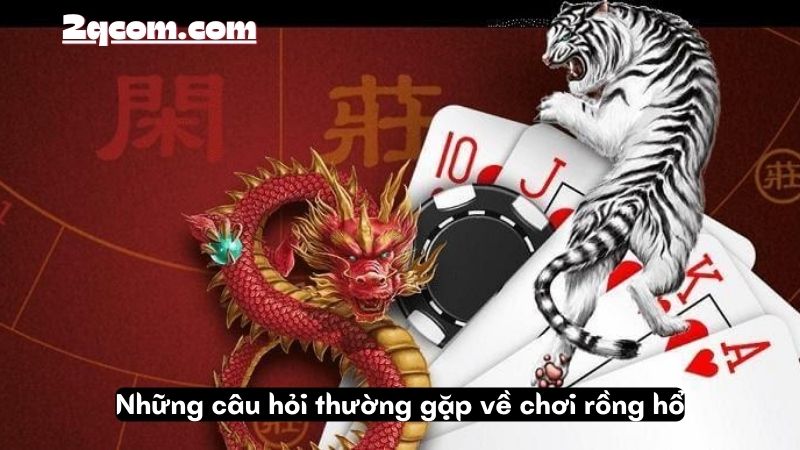 Chơi Rồng Hổ - Khám Phá Thế Giới Đầy Kịch Tính 3 Những câu hỏi thường gặp về chơi rồng hổ