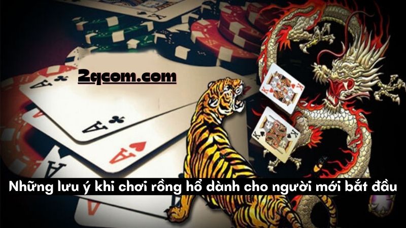 Chơi Rồng Hổ - Khám Phá Thế Giới Đầy Kịch Tính 2 Những lưu ý khi chơi rồng hổ dành cho người mới bắt đầu