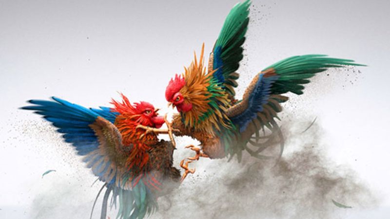 Game Đá Gà: Sàn Đấu Gà Chọi Sôi Động Nhất 1 Cách chơi Game Đá Gà