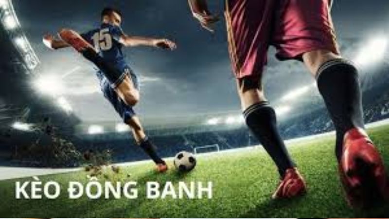 Kèo chấp đồng banh là gì? Lựa chọn nào cho trận đấu cân sức? 3 Ưu điểm và nhược điểm của kèo chấp đồng banh
