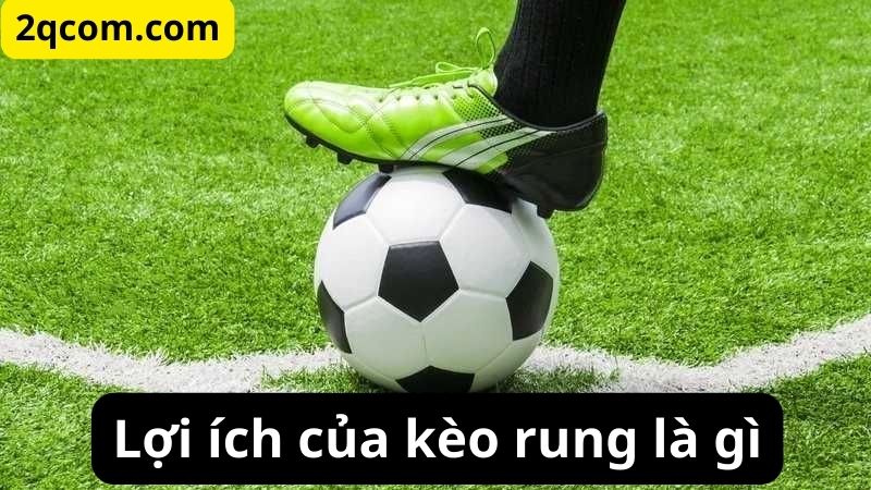 Kèo rung là gì? Tìm hiểu chi tiết về kèo Asian Handicap 3 Lợi ích của kèo rung là gì