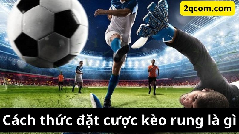 Kèo rung là gì? Tìm hiểu chi tiết về kèo Asian Handicap 2 Cách thức đặt cược kèo rung là gì