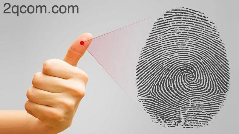 Sinh trắc học vân tay: Khám phá bản thân và tiềm năng 3 Phân tích sinh trắc học vân tay để hiểu rõ được những tiềm năng của chính mình