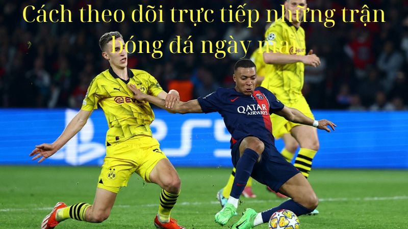 2Q- Những Trận Bóng Đá Ngày Mai: Lịch Thi Đấu & Thông Tin Cập Nhật 3 nhung-tran-bong-da-ngay-mai-3