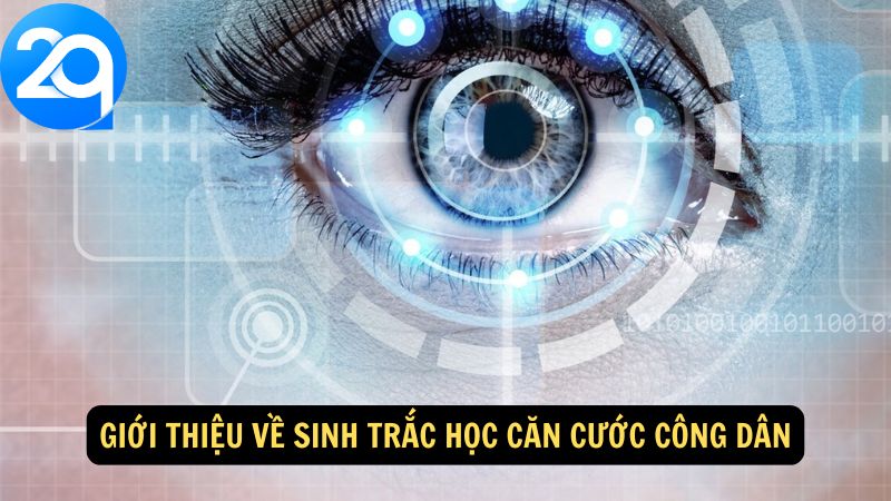 Sinh Trắc Học Căn Cước Công Dân: Tương Lai Của Xác Thực Danh Tính 1 sinh trac hoc can cuoc cong dan 1