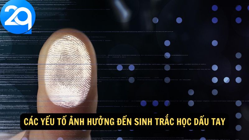 Sinh Trắc Học Dấu Tay - Đảm Bảo Bảo Mật Và An Toàn Danh Tính Với Công Nghệ Mới 2 sinh-trac-hoc-dau-tay-2