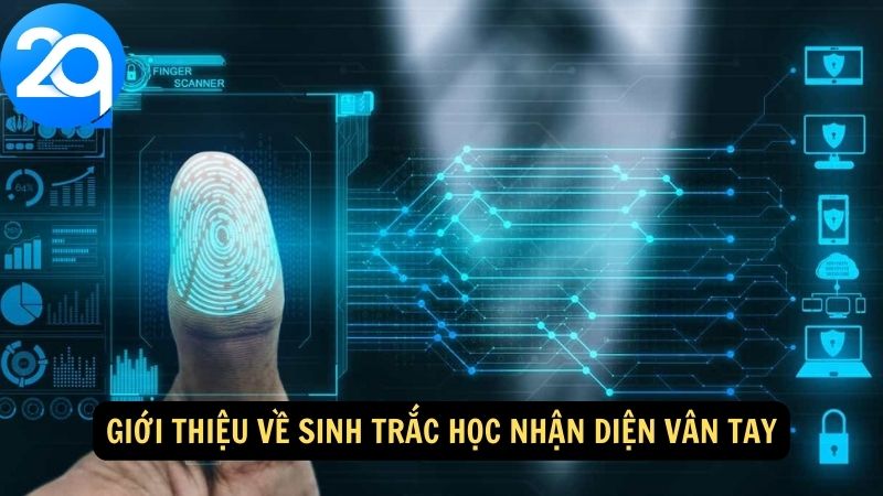 Sinh Trắc Học Nhận Diện Vân Tay - Xác Thực Danh Tính Chính Xác Với Công Nghệ 1 sinh-trac-hoc-nhan-dien-van-tay-1