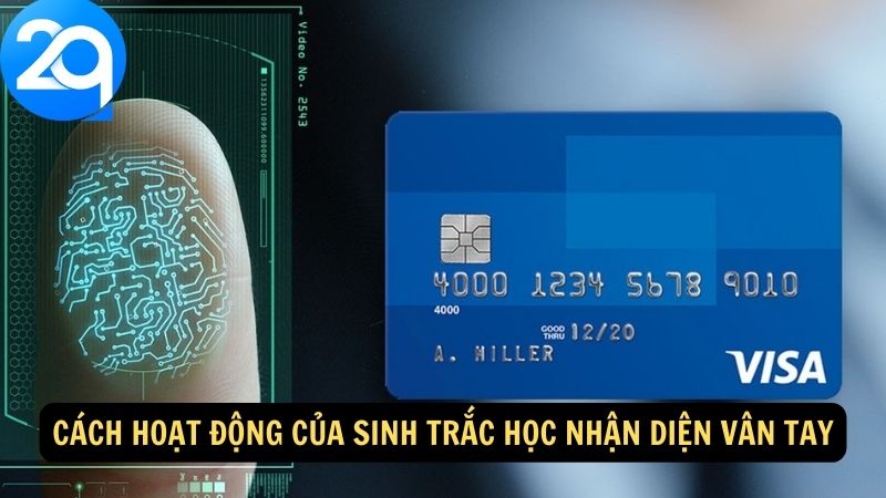 Sinh Trắc Học Nhận Diện Vân Tay - Xác Thực Danh Tính Chính Xác Với Công Nghệ 3 sinh-trac-hoc-nhan-dien-van-tay-3