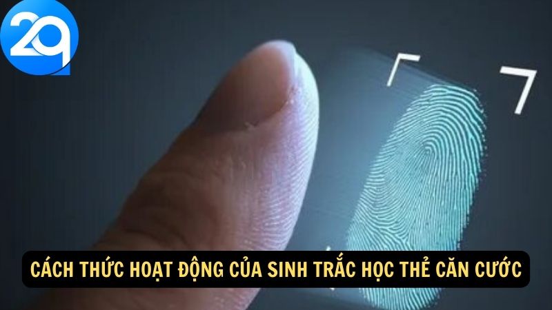 Sinh Trắc Học Thẻ Căn Cước - Công Nghệ Xác Thực Danh Tính Hiện Đại 3 sinh-trac-hoc-the-can-cuoc-3