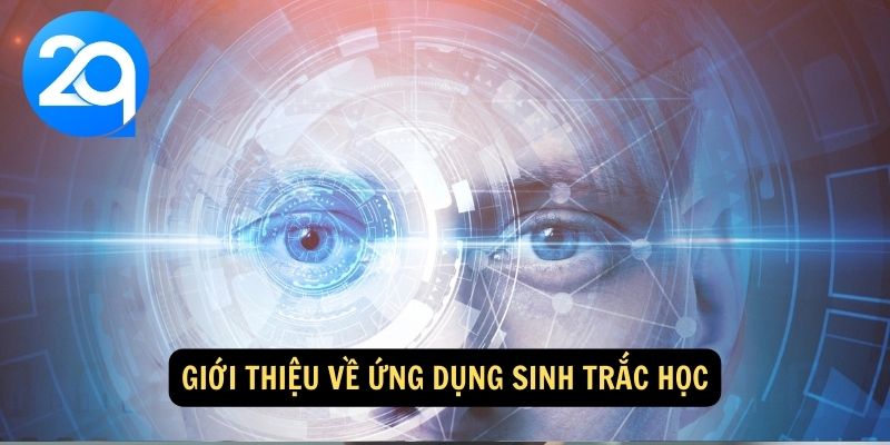 Ứng Dụng Sinh Trắc Học Trên 2Q: Phân Tích Đặc Điểm Sinh Học Và Tối Ưu Hóa Cuộc Sống 1 ung-dung-sinh-trac-hoc-1