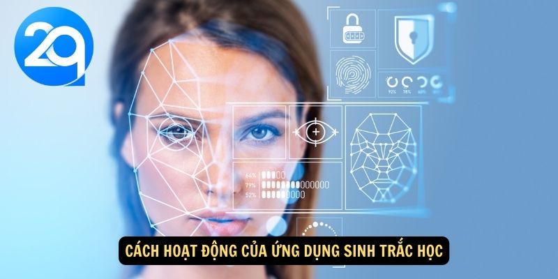 Ứng Dụng Sinh Trắc Học Trên 2Q: Phân Tích Đặc Điểm Sinh Học Và Tối Ưu Hóa Cuộc Sống 2 ung-dung-sinh-trac-hoc-2