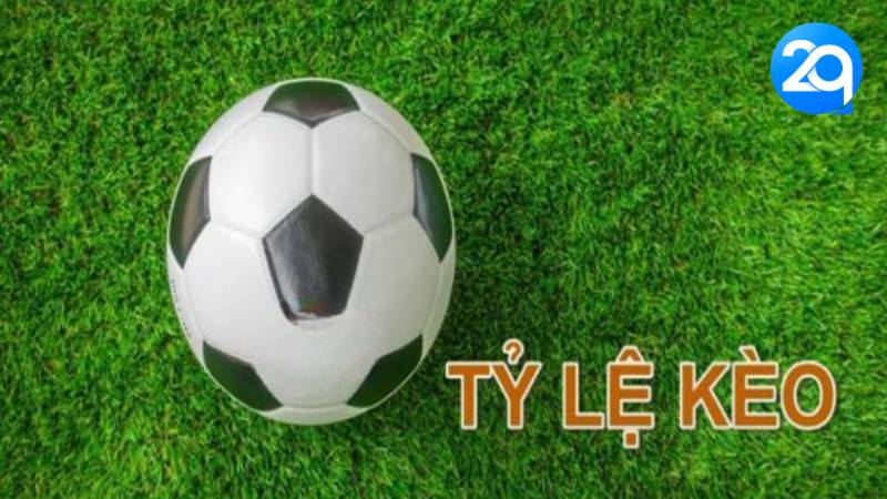 Tỷ Lệ Kèo Bóng Đá Mới Nhất tại 2Q- Kèo Cược Hôm Nay 2024 2 ty-le-keo-bong-da-2