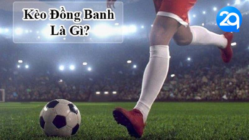 Kèo Đồng Banh Hấp Dẫn: Cách Đặt Cược Và Dự Đoán Tỉ Số Tại 2Q 1 keo-dong-banh-1