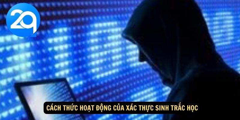 Xác Thực Sinh Trắc Học: Công Nghệ Bảo Mật Tối Ưu Cho Giao Dịch Tại 2Q 2 xac-thuc-sinh-trac-hoc-2