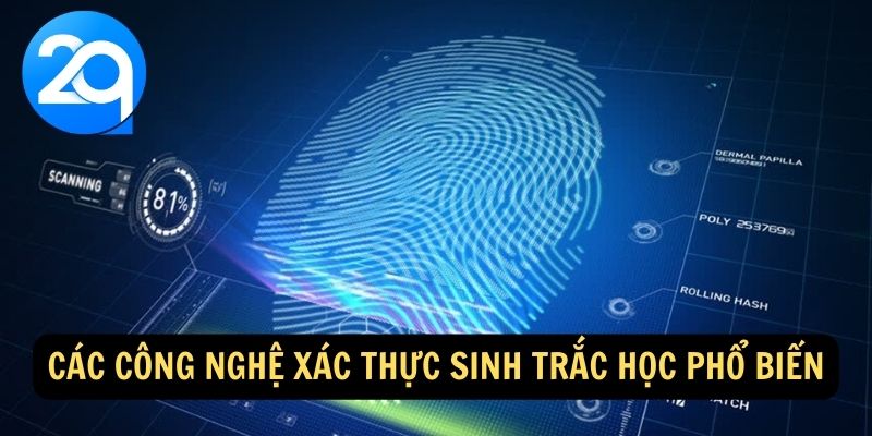 Xác Thực Sinh Trắc Học Là Gì? Hướng Dẫn Chi Tiết và Ứng Dụng tại 2Q 3 xac-thuc-sinh-trac-hoc-la-gi-3