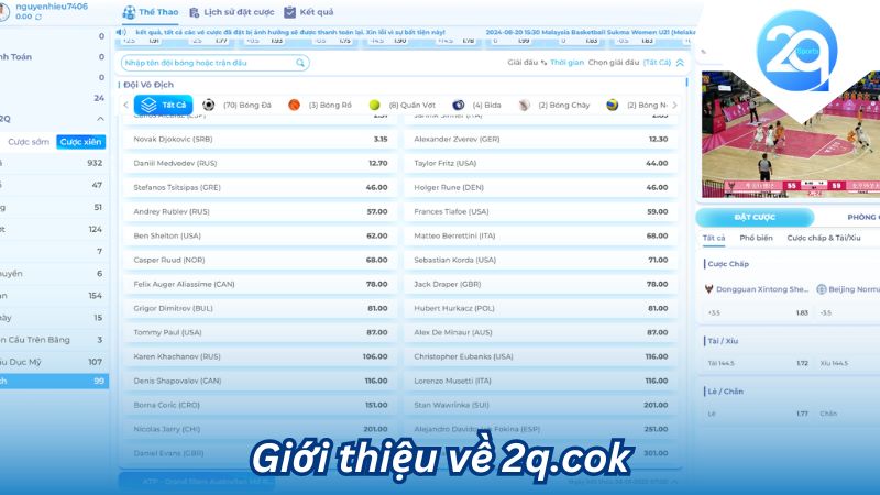 2q.cok: Cánh Cửa Vào Thế Giới Cá Độ Trực Tuyến? 1 2q-cok-1