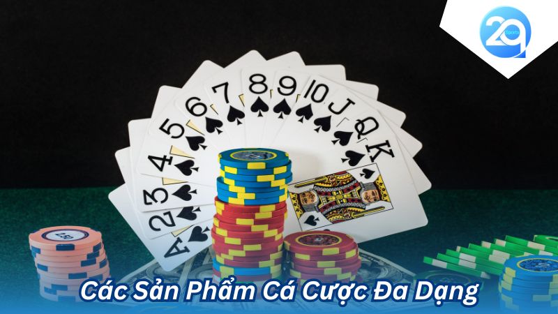 2Q(.)com: Nền Tảng Cá Cược Trực Tuyến Uy Tín & Chuyên Nghiệp 2 2q-com-2