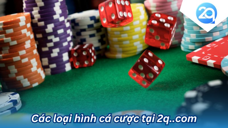 2q..com: Nơi Hội Tụ Của Những Trải Nghiệm Giải Trí Đỉnh Cao 3 2q-com-3