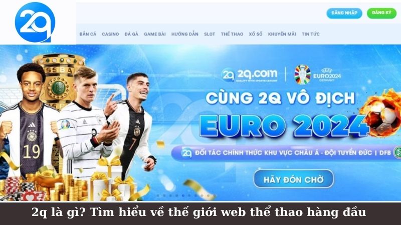 2q là gì? Tìm hiểu về thế giới web thể thao hàng đầu 1 2q-la-gi-1