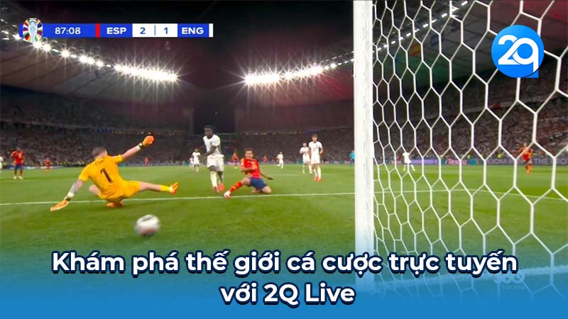 2Q Live: Nhà cái uy tín, chất lượng hàng đầu 1 2q-live-1