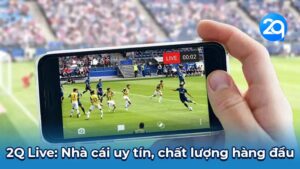 2Q Live: Nhà cái uy tín, chất lượng hàng đầu
