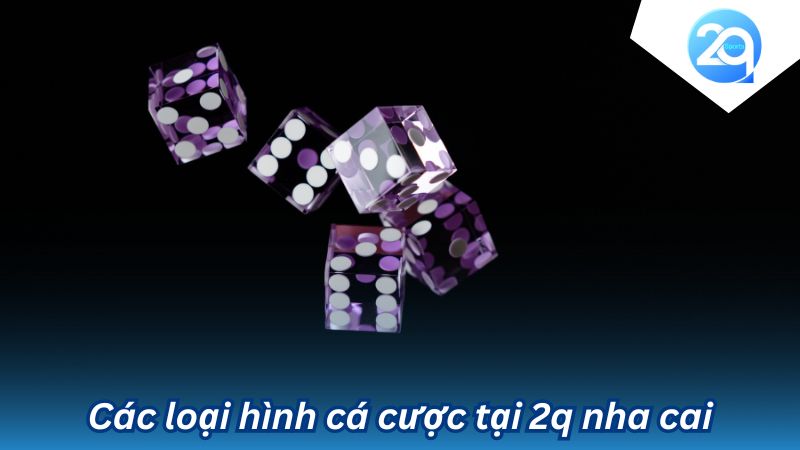 2q nha cai: Địa Chỉ Cá Cược Trực Tuyến Số 1 Châu Á 3 2q-nha-cai-3