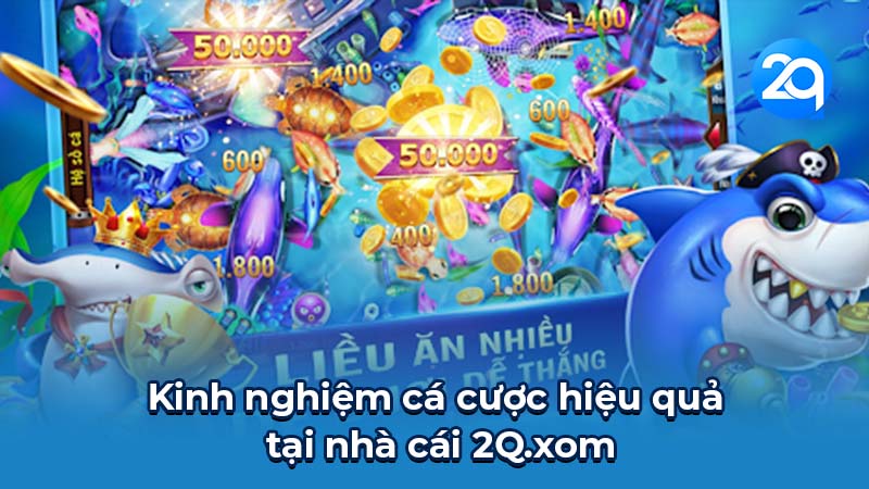 Nhà cái 2Q.xom - Cổng game uy tín, chất lượng hàng đầu 3 2q.xom-3