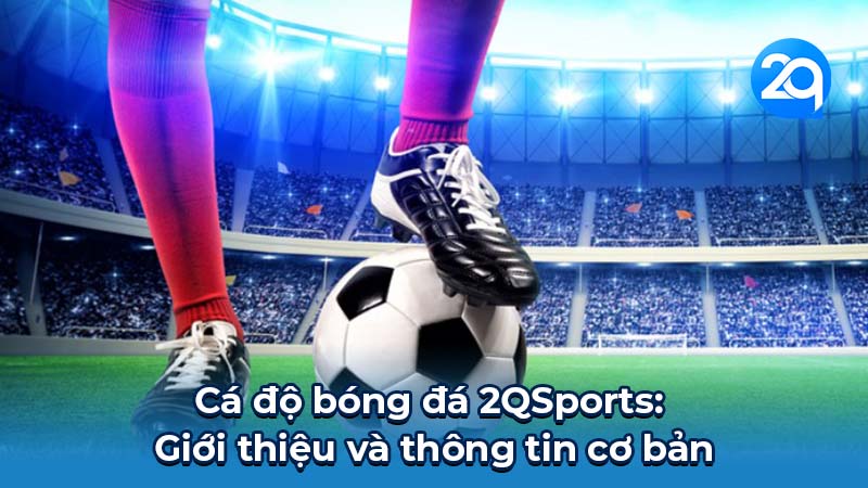 2QSports: Hướng Dẫn Chi Tiết & Kinh Nghiệm Hiệu Quả 1 2qsports-1