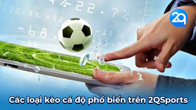2QSports: Hướng Dẫn Chi Tiết & Kinh Nghiệm Hiệu Quả 2 2qsports-2