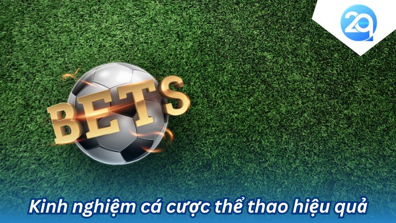 2QTheThao - Nền Tảng Cá Cược Thể Thao Uy Tín và Chất Lượng 3 2qthethao-3