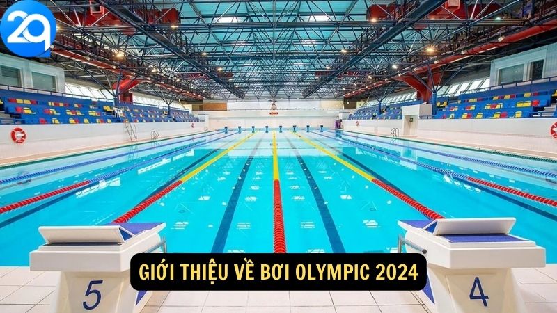 Bơi Olympic 2024: Những Cuộc Đua Đỉnh Cao Với 2q 1 boi-olympic-2024-1