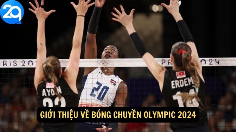 Bóng Chuyền Olympic 2024: Những Cuộc Đua Kịch Tính Trên 2q 1 bong-chuyen-olympic-2024-1