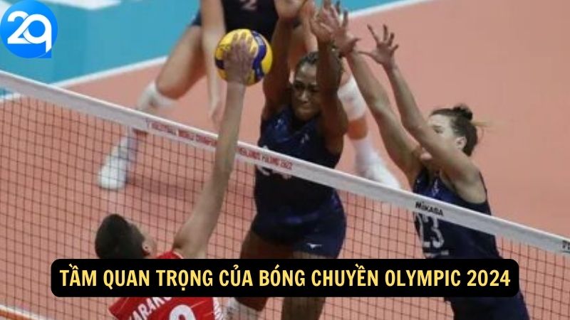 Bóng Chuyền Olympic 2024: Những Cuộc Đua Kịch Tính Trên 2q 3 bong-chuyen-olympic-2024-3