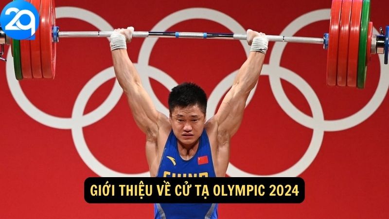 Cử Tạ Olympic 2024 Với 2q: Những Khoảnh Khắc Đỉnh Cao 1 cu-ta-olympic-2024-1