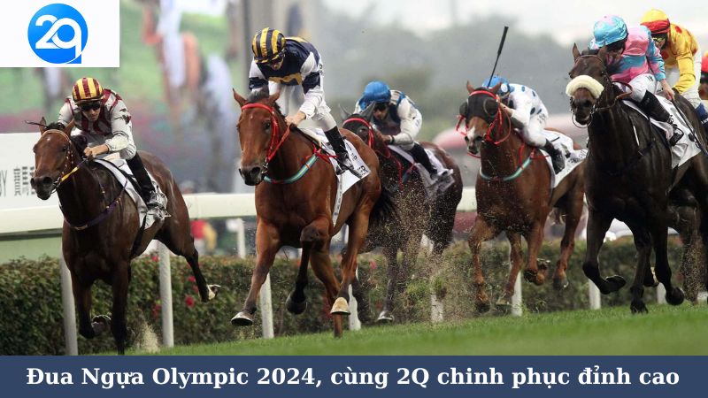 Đua Ngựa Olympic 2024, cùng 2Q chinh phục đỉnh cao 3 dua-ngua-olympic-2024-3