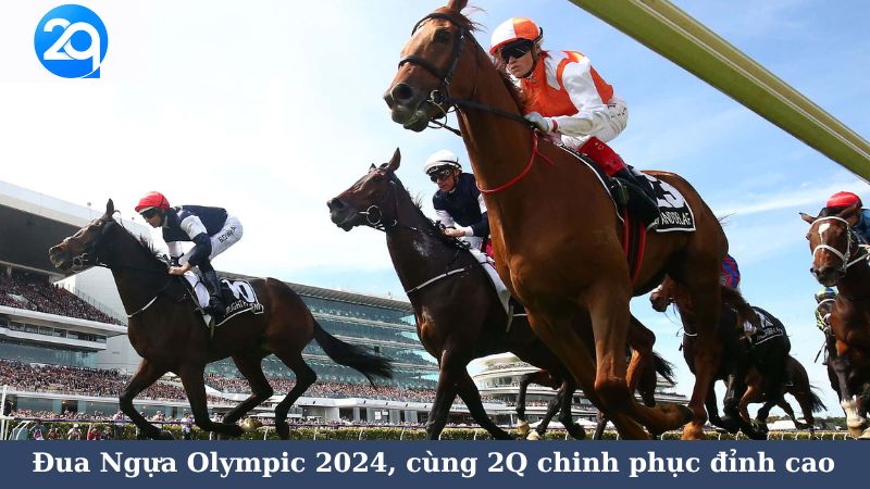 Đua Ngựa Olympic 2024, cùng 2Q chinh phục đỉnh cao 2 dua-ngua-olympic-2024-2