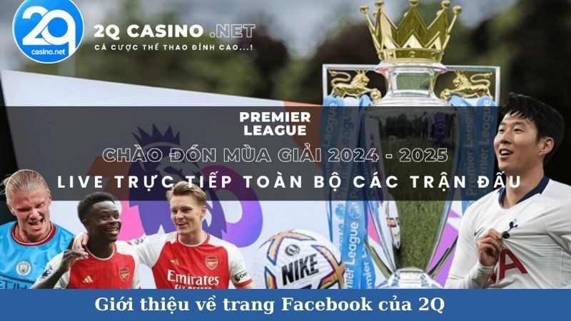 Giới thiệu về trang Facebook của 2Q 2 facebook-cua-2q-2