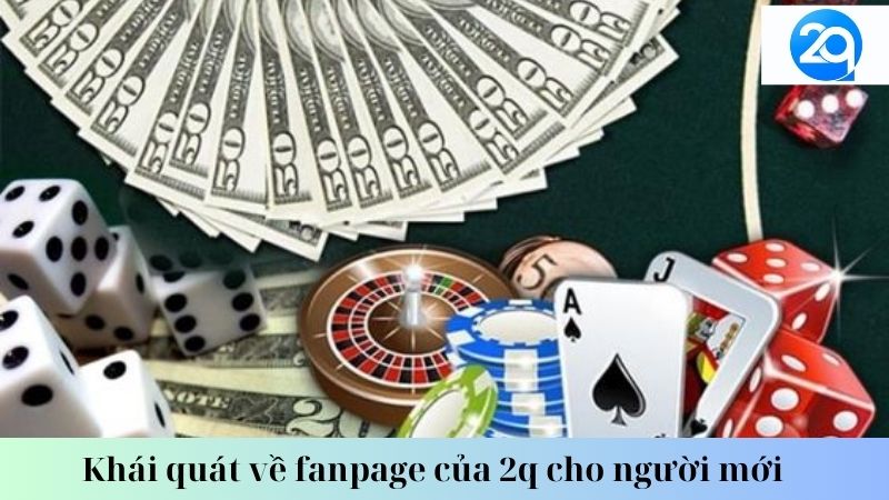 Khái quát về fanpage của 2q cho người mới 3 fanpage-cua-2q-3