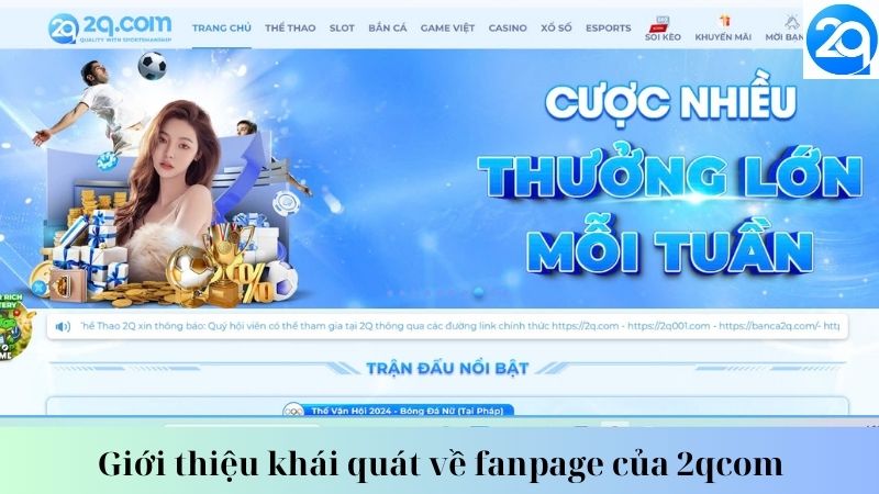 Giới thiệu khái quát về fanpage của 2qcom 1 fanpage-cua-2qcom-1