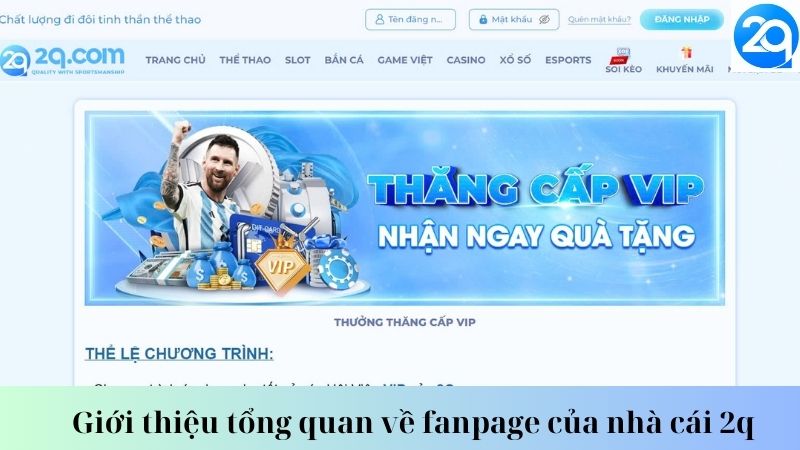 Giới thiệu tổng quan về fanpage của nhà cái 2q 1 fanpage-cua-nha-cai-2q-1
