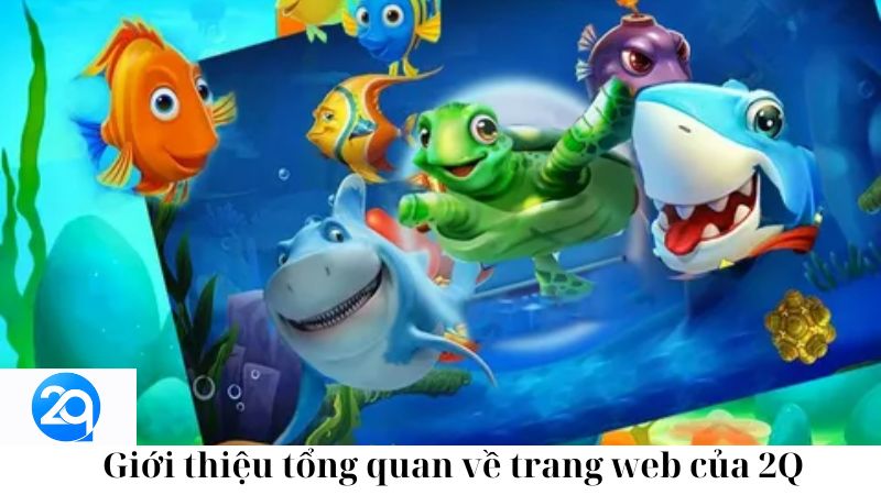 Giới thiệu tổng quan về trang web của 2Q 2 gioi-thieu-tong-quan-ve-trang-web-cua-2q-2