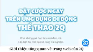 Giới thiệu tổng quan về trang web của 2Q