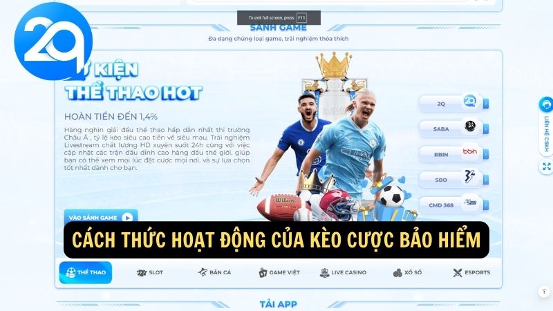 Kèo Cược Bảo Hiểm: Tỷ Lệ, Lợi Ích và Cập Nhật Mới Nhất tại 2q 2 keo-cuoc-bao-hiem-2